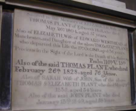 Plant family plaque at St. Mary's Church, Sandbach